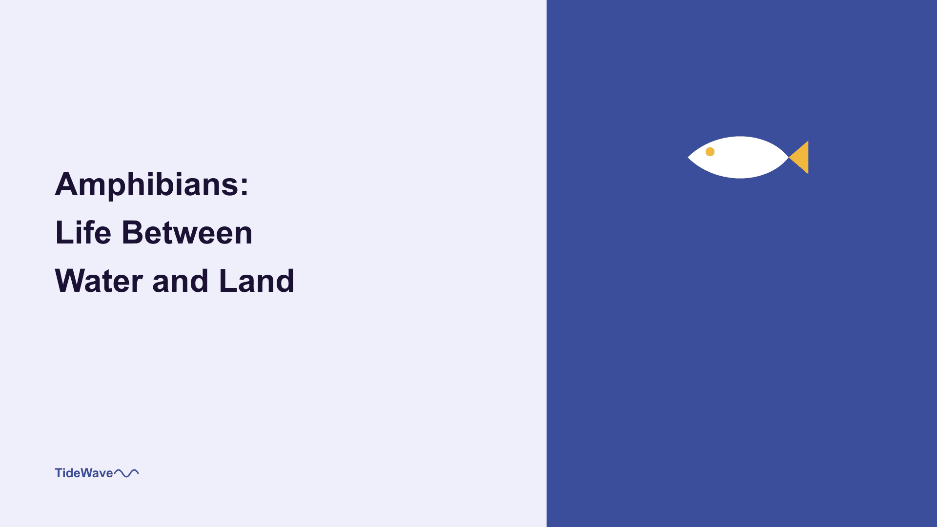 Amphibians: Life Between Water and Land
