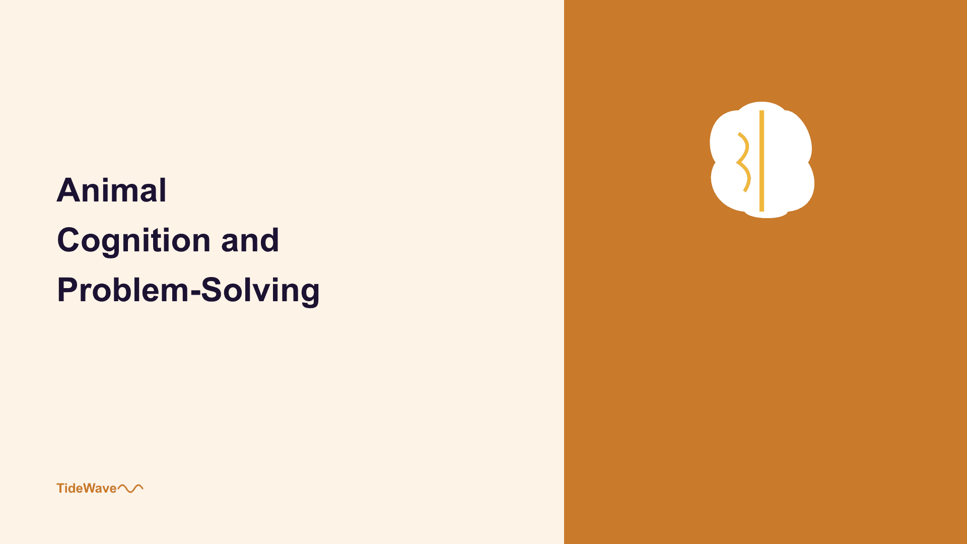 Animal Cognition and Problem-Solving