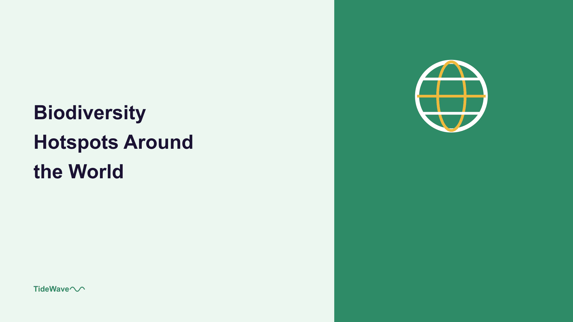 Biodiversity Hotspots Around the World