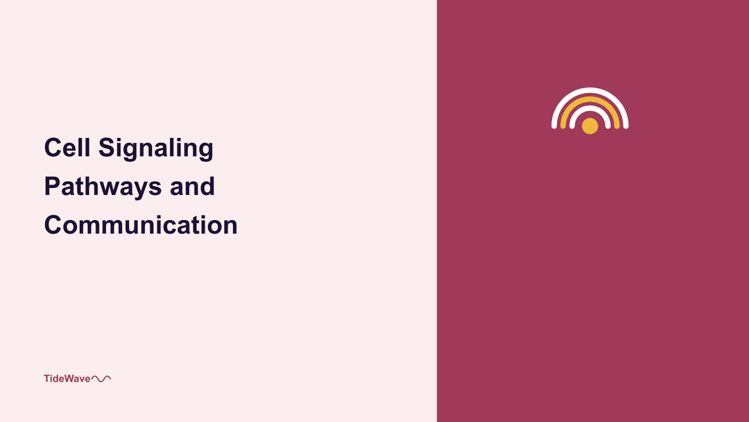 Cell Signaling Pathways and Communication