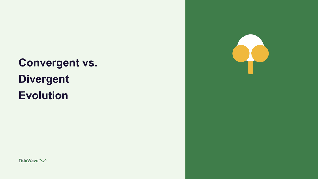 Convergent vs. Divergent Evolution
