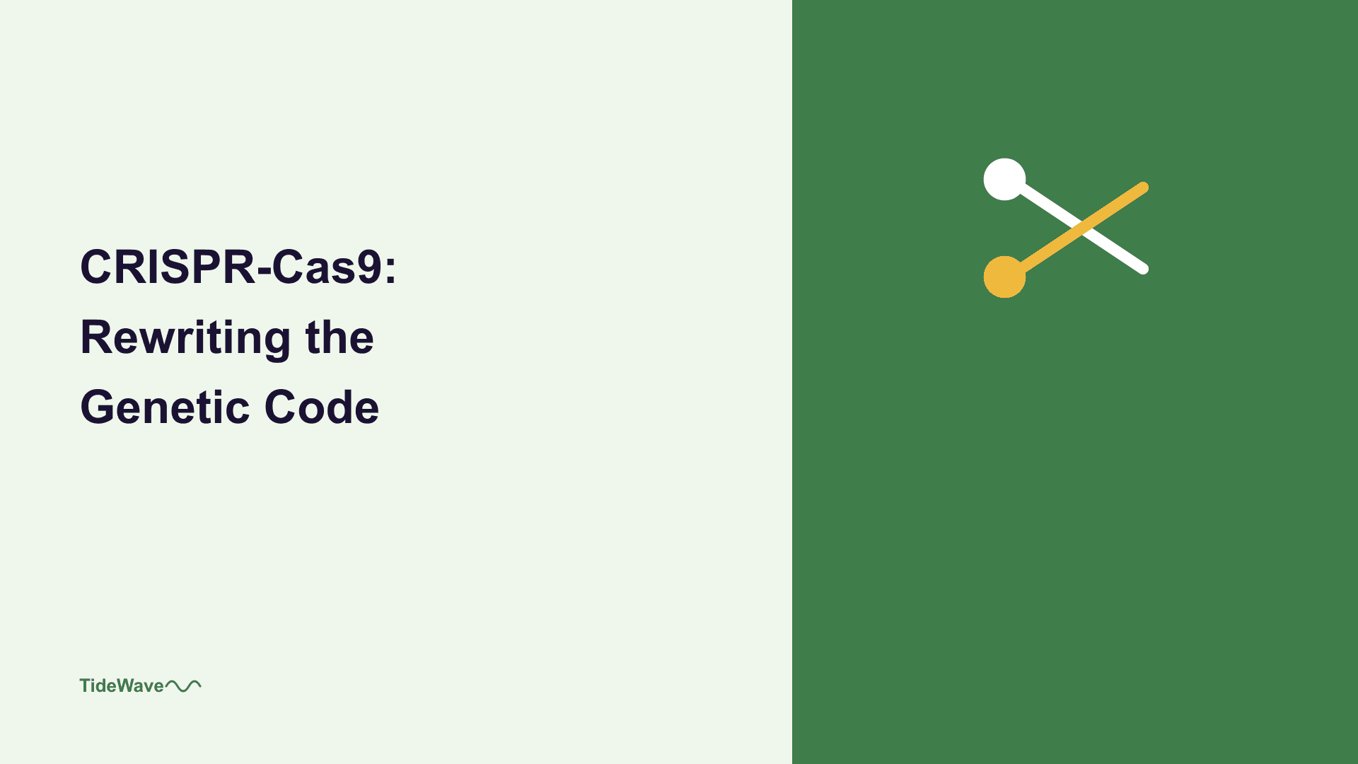CRISPR-Cas9: Rewriting the Genetic Code