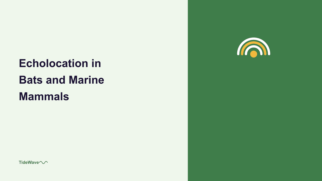 Echolocation in Bats and Marine Mammals