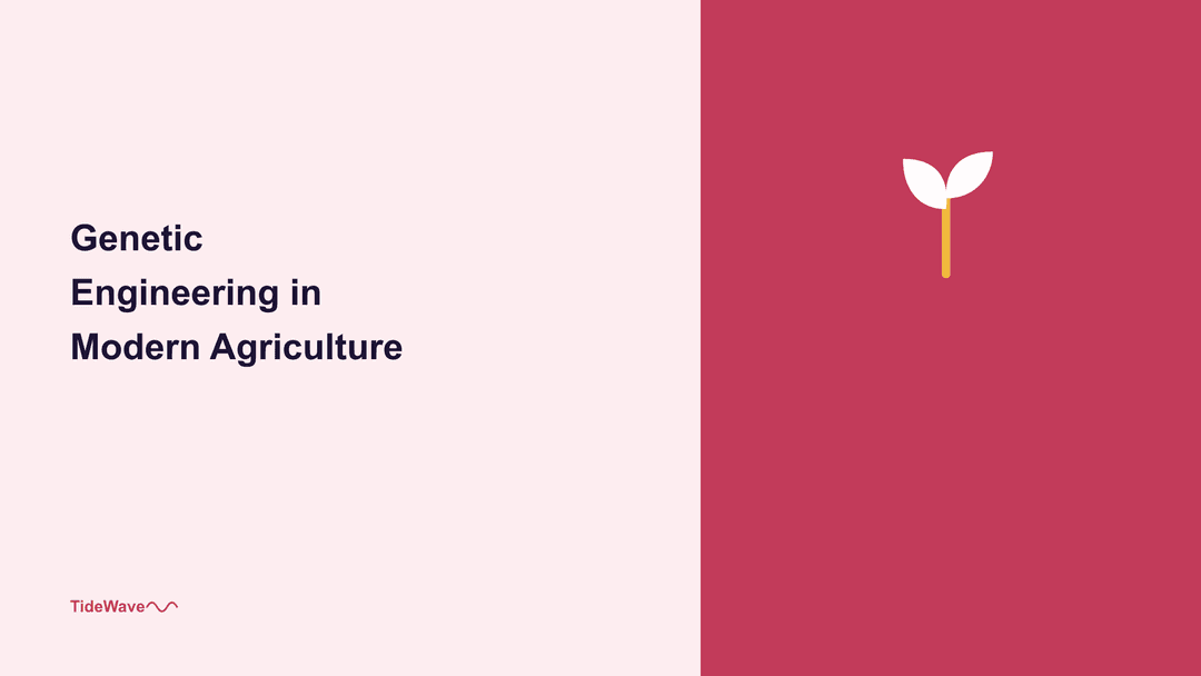 Genetic Engineering in Modern Agriculture