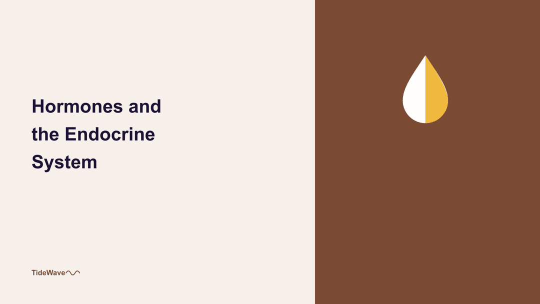 Hormones and the Endocrine System