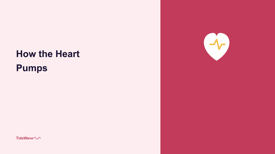 How the Heart Pumps: Cardiac Physiology