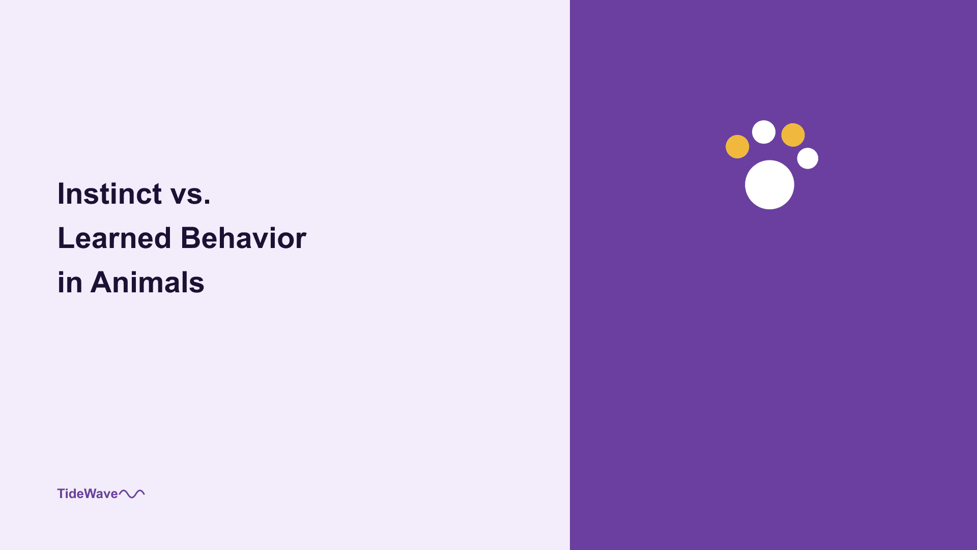 Instinct vs. Learned Behavior in Animals
