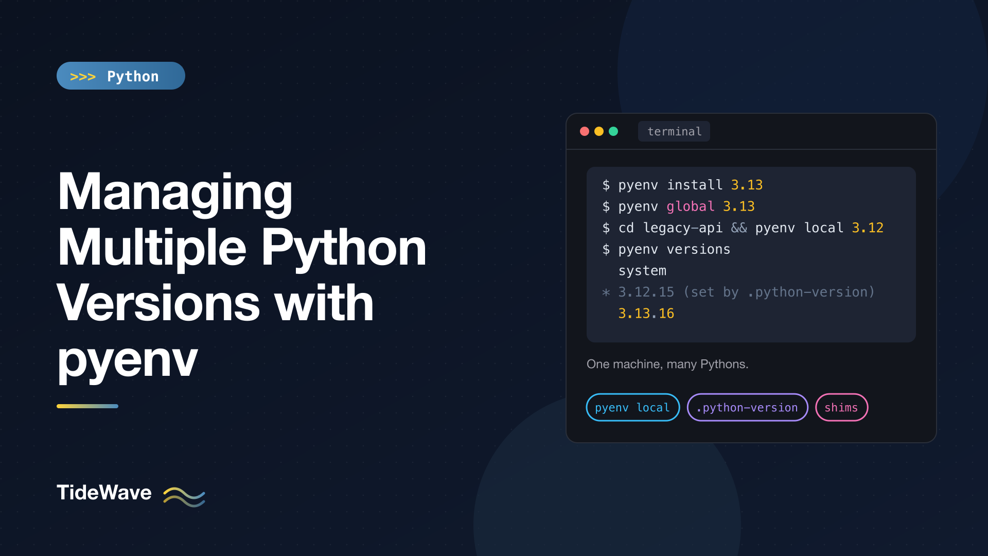 Managing Multiple Python Versions with pyenv