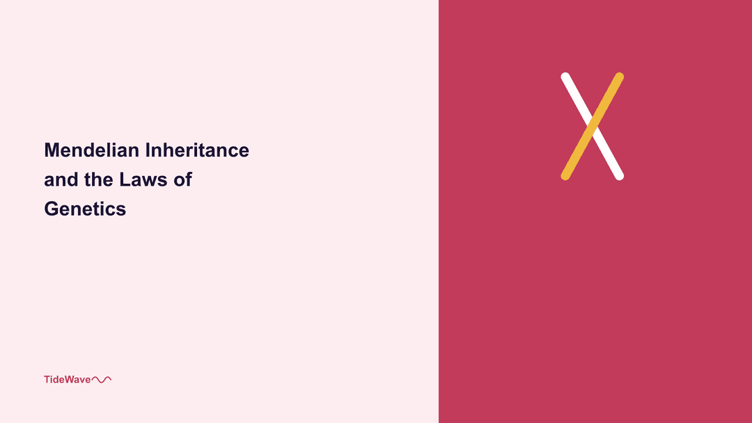 Mendelian Inheritance and the Laws of Genetics