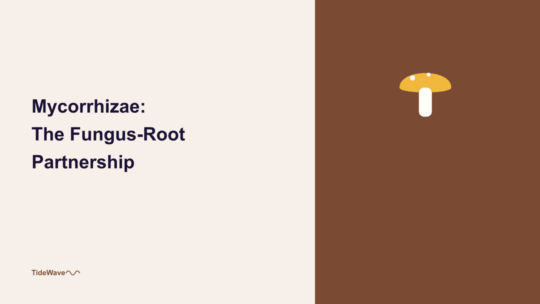 Mycorrhizae: The Fungus-Root Partnership