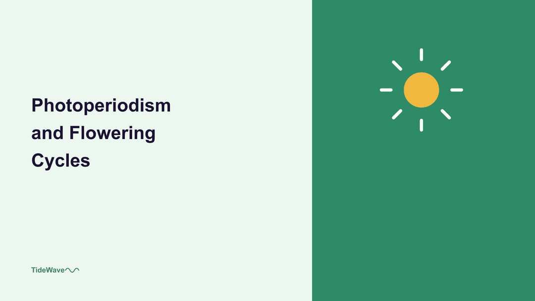 Photoperiodism and Flowering Cycles