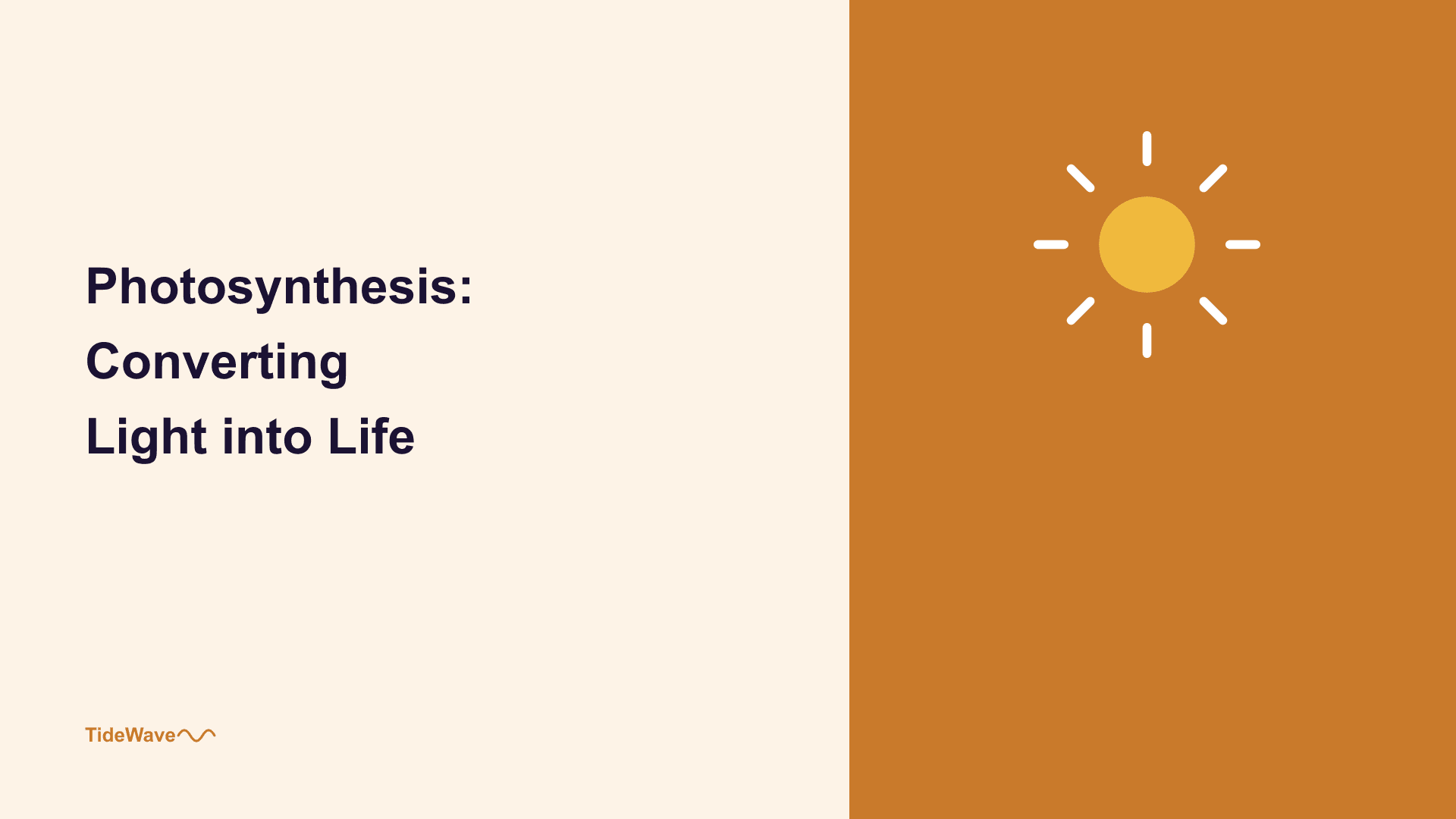 Photosynthesis: Converting Light into Life