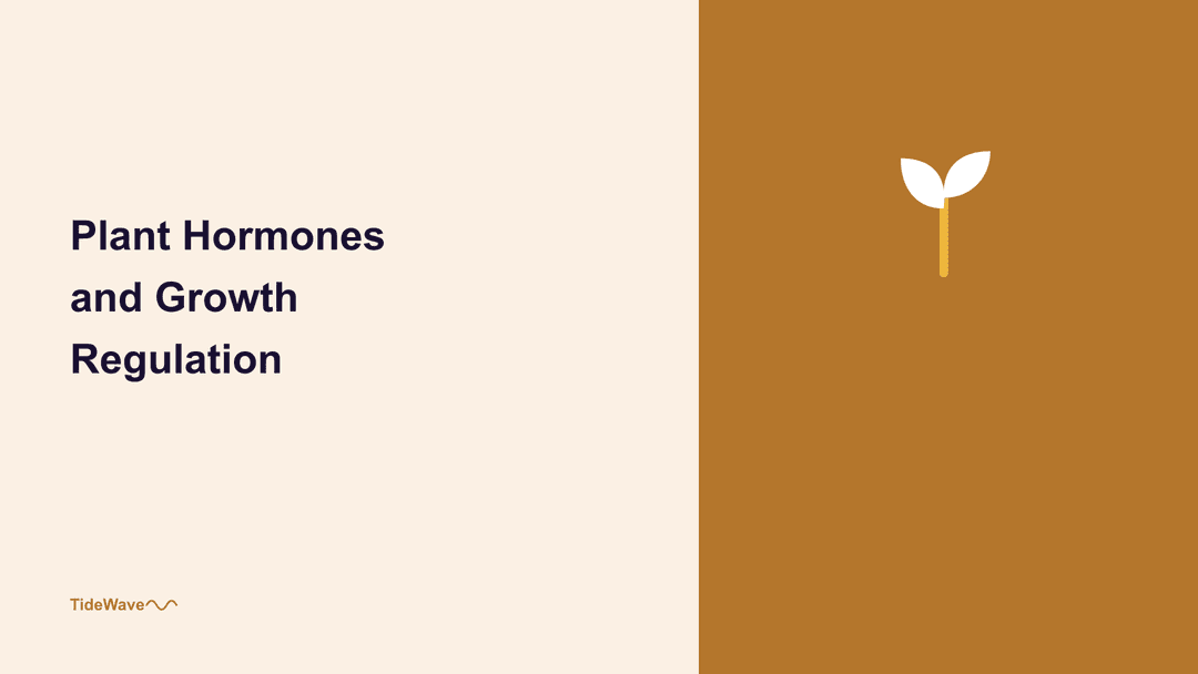 Plant Hormones and Growth Regulation