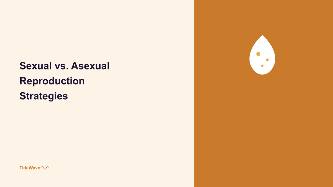 Sexual vs. Asexual Reproduction Strategies