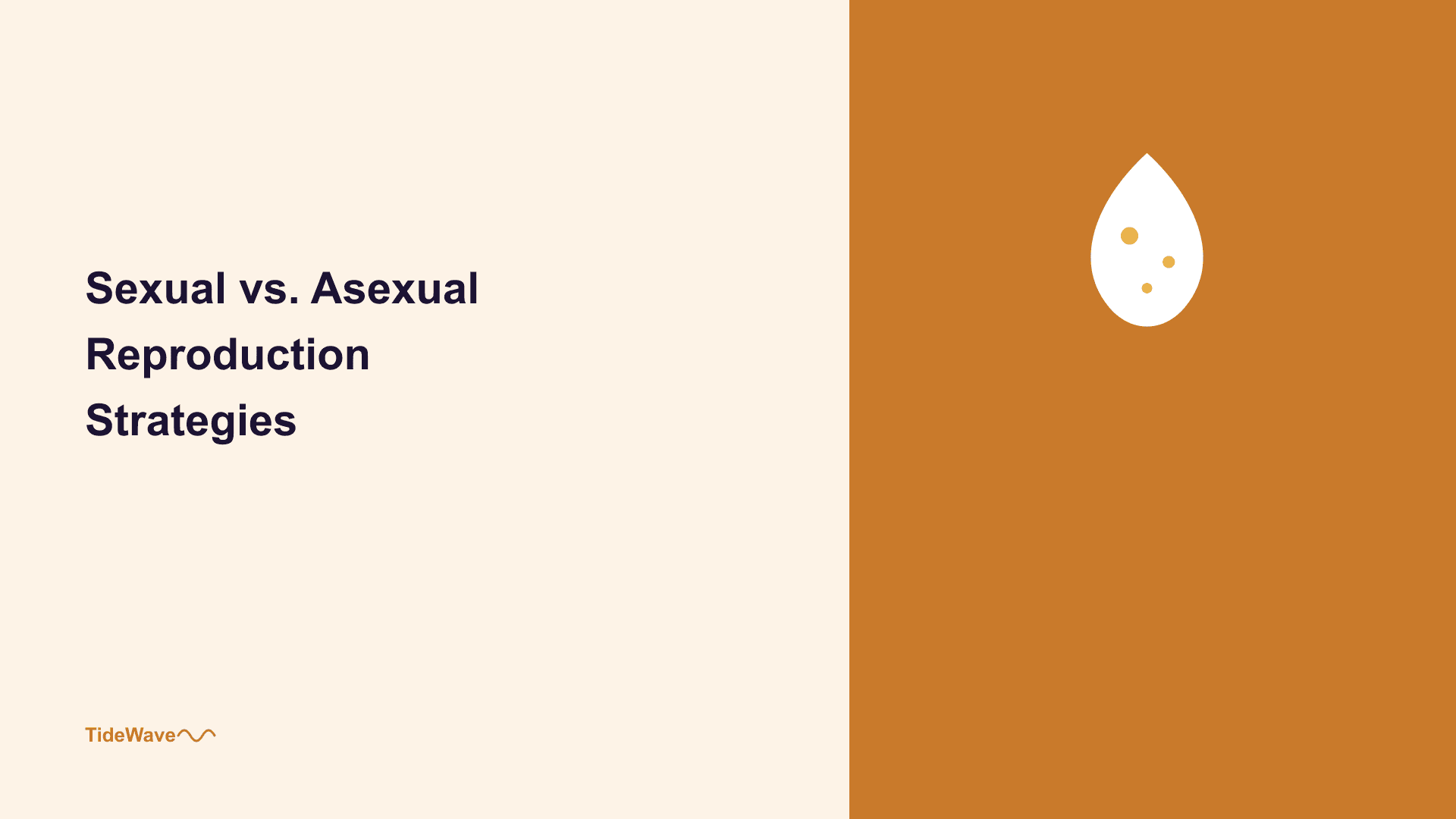 Sexual vs. Asexual Reproduction Strategies