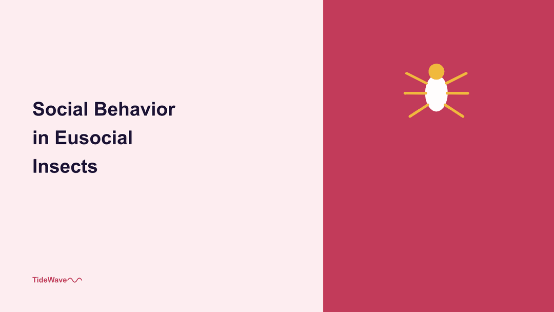 Social Behavior in Eusocial Insects