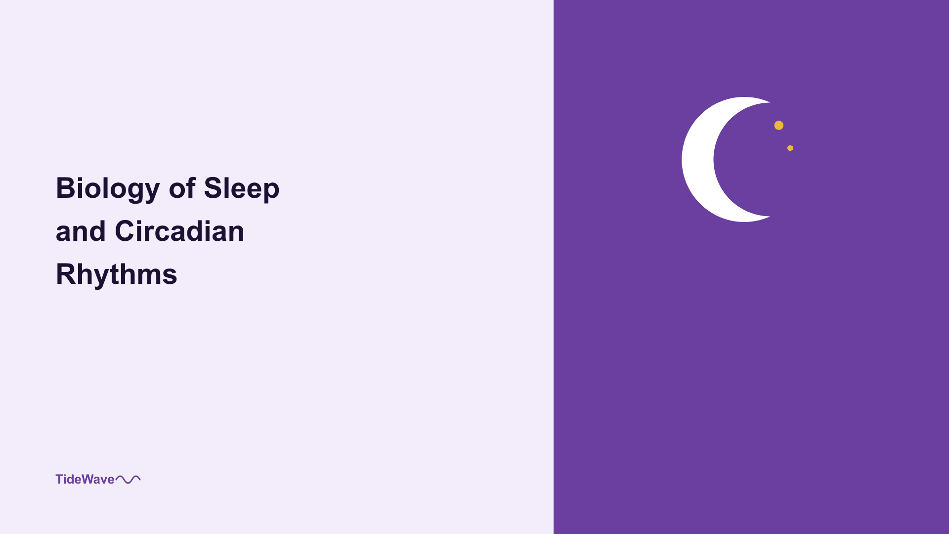 The Biology of Sleep and Circadian Rhythms