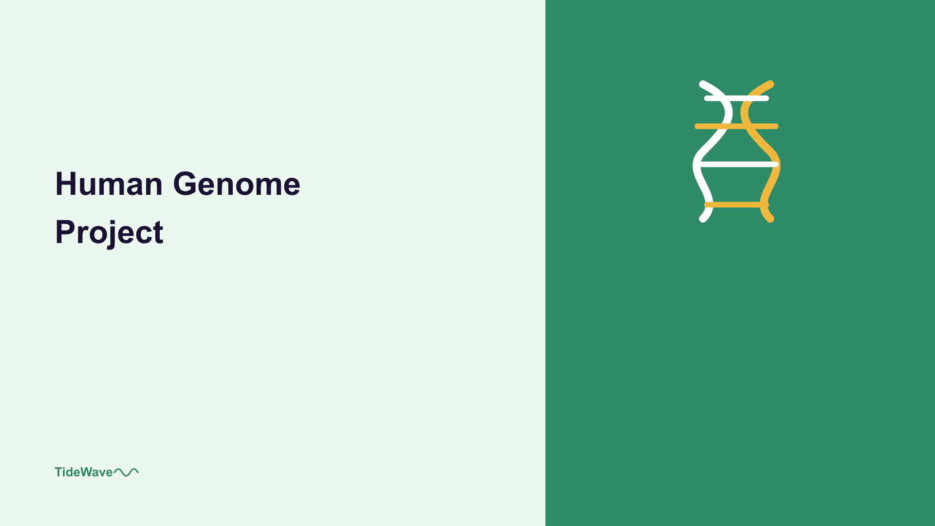 The Human Genome Project: Mapping Our DNA