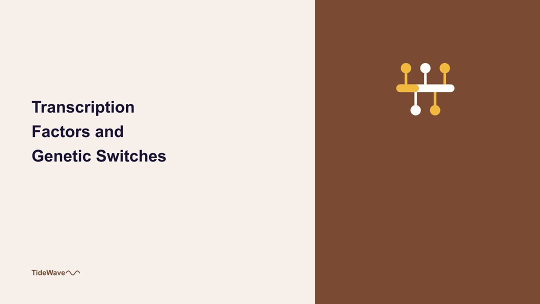 Transcription Factors and Genetic Switches