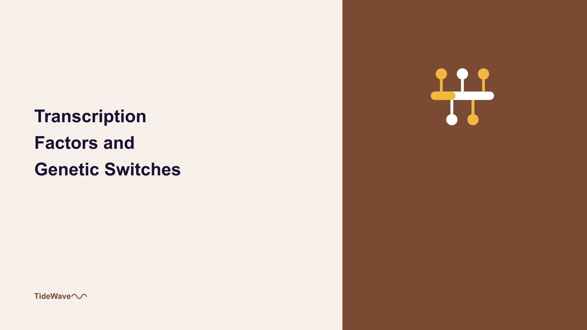 Transcription Factors and Genetic Switches