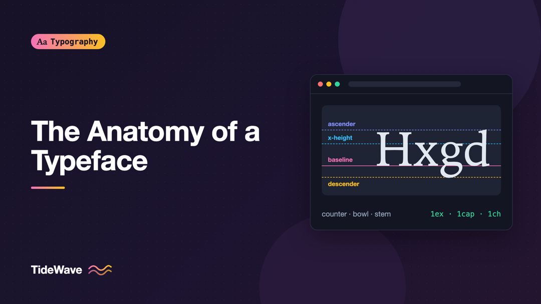 The Anatomy of a Typeface: Ascenders, Descenders, Counters, and More