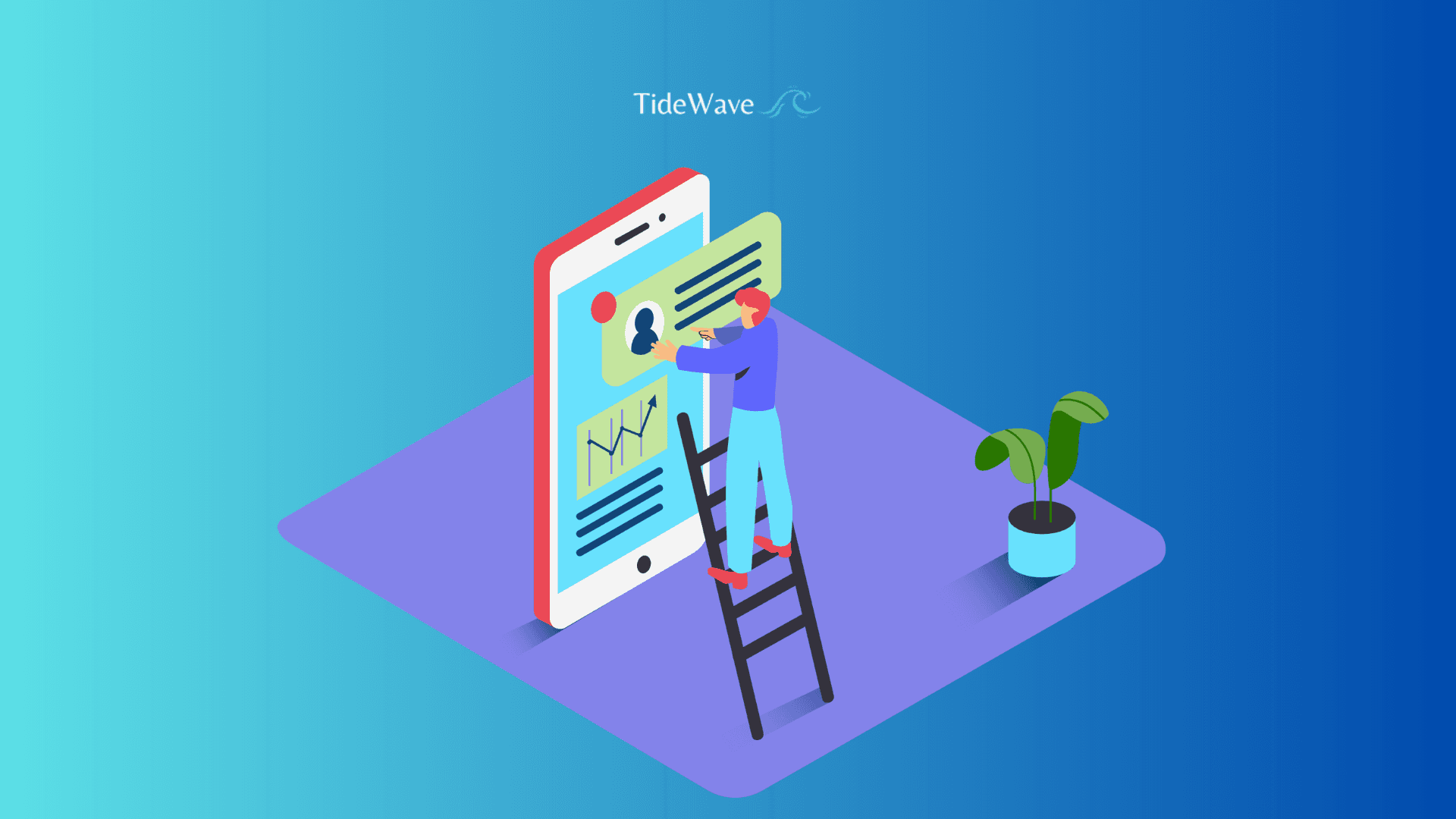 What are WordPress tags & categories?