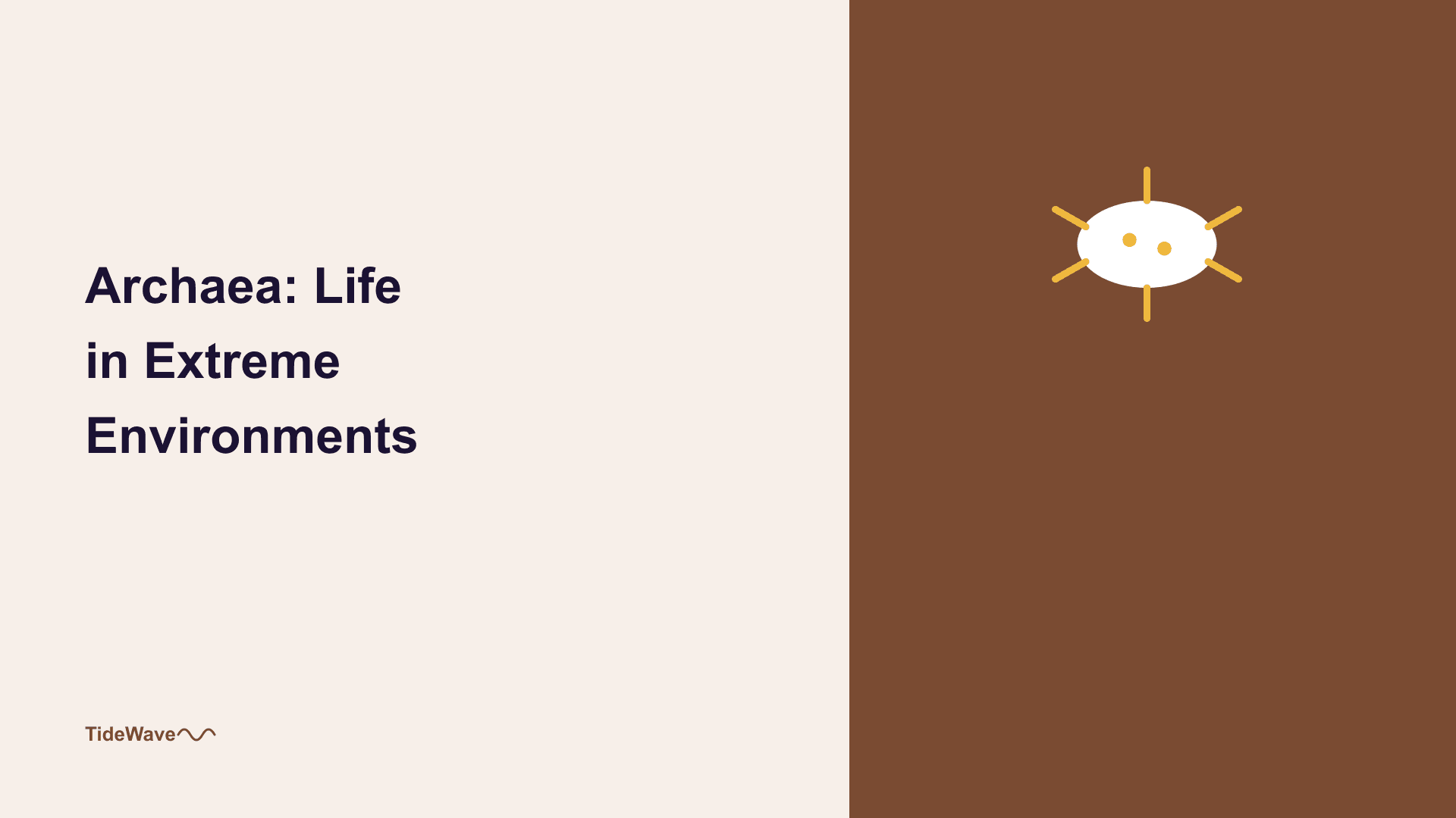 Archaea: Life in Extreme Environments