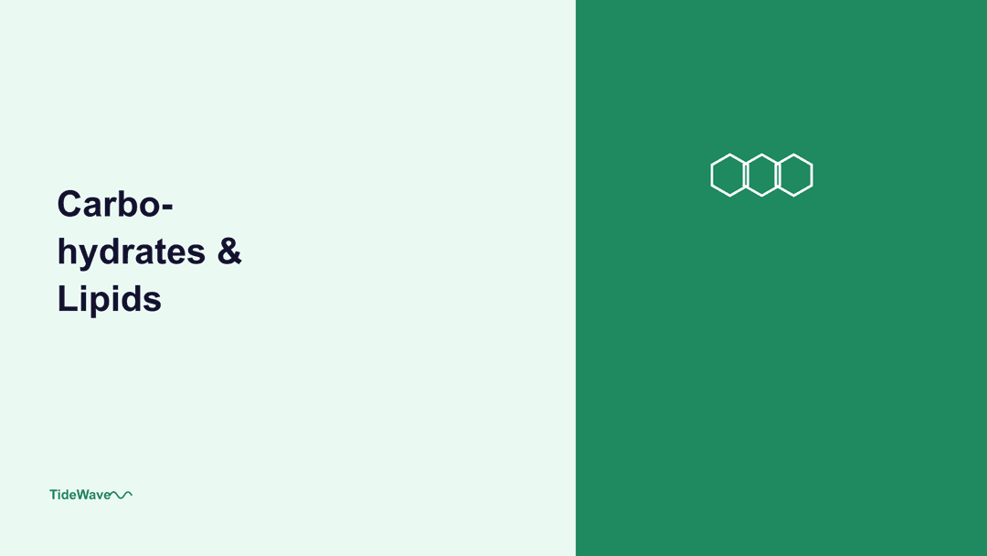 Carbohydrates and Lipids: The Chemistry of Energy Storage