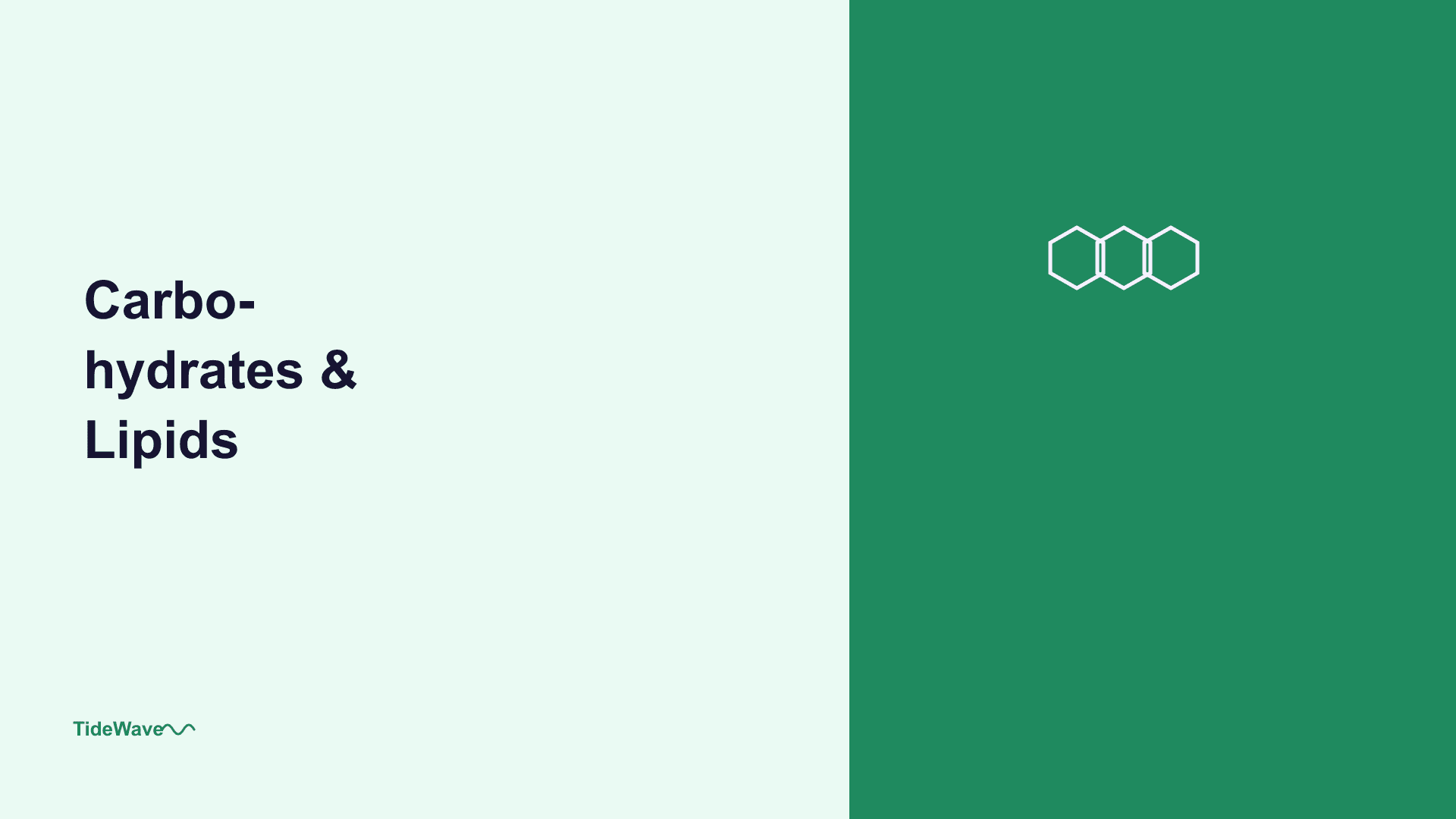 Carbohydrates and Lipids: The Chemistry of Energy Storage