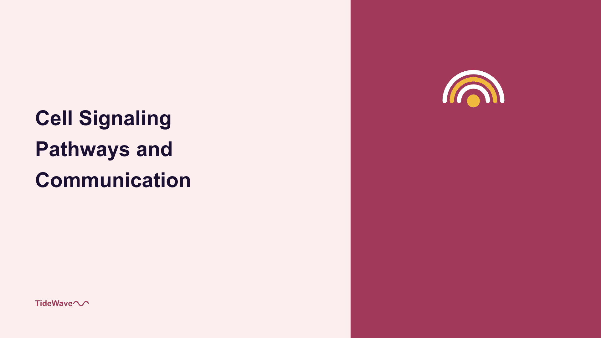 Cell Signaling Pathways and Communication