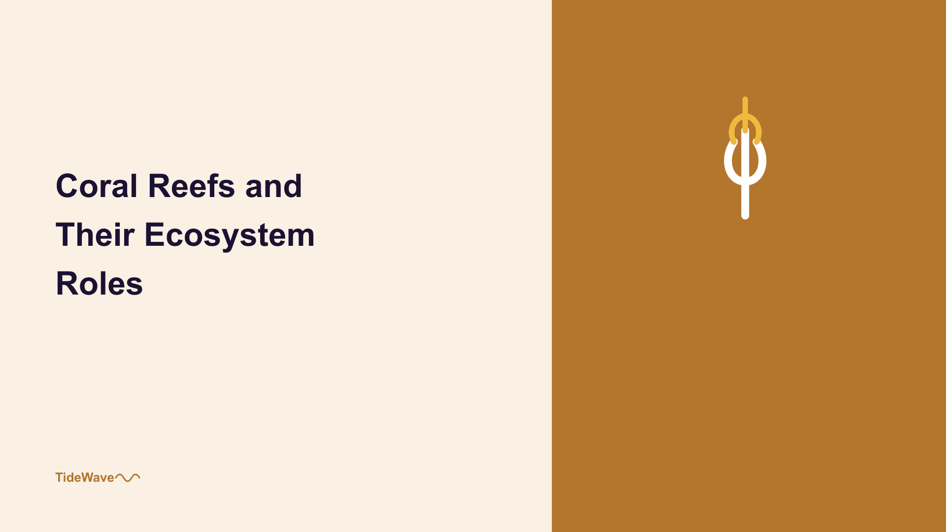 Coral Reefs and Their Ecosystem Roles