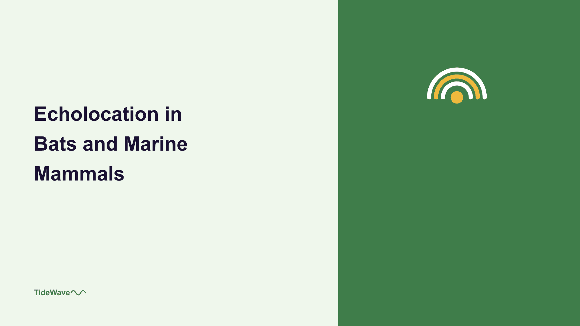 Echolocation in Bats and Marine Mammals