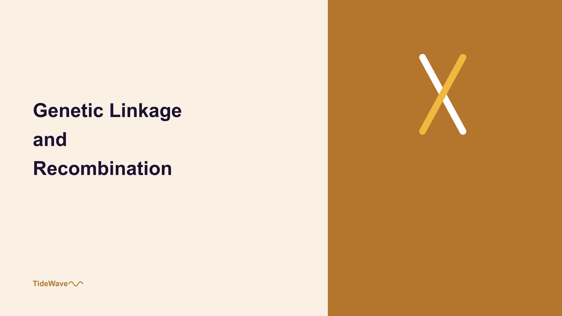 Genetic Linkage and Recombination