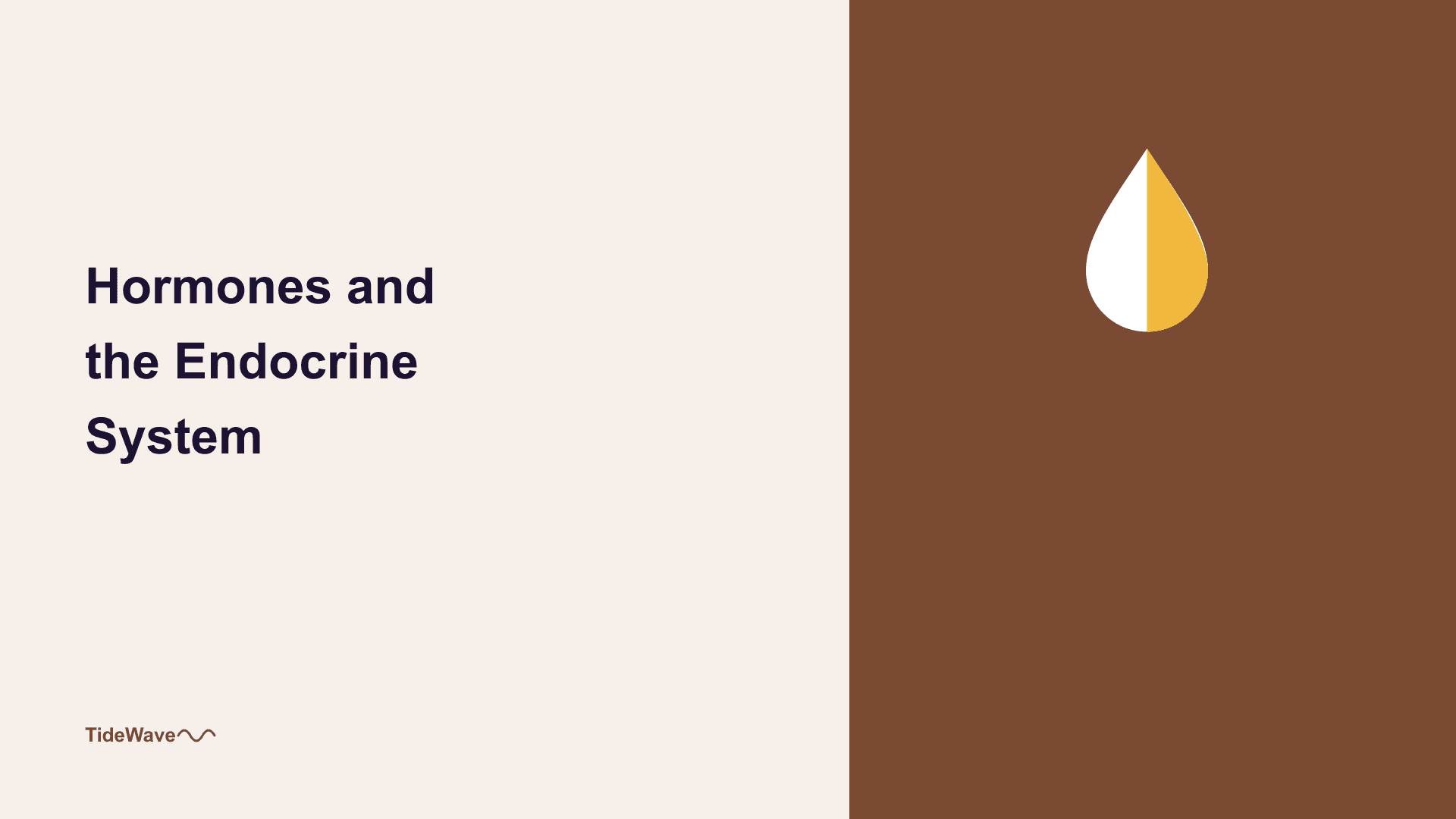 Hormones and the Endocrine System