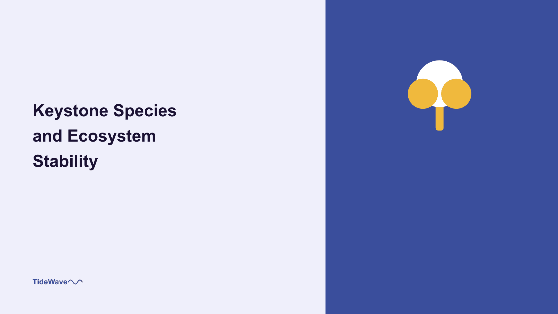 Keystone Species and Ecosystem Stability