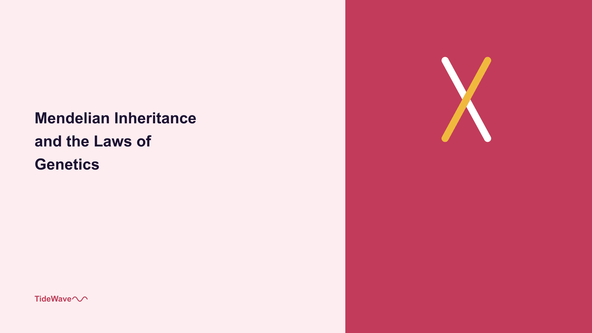 Mendelian Inheritance and the Laws of Genetics