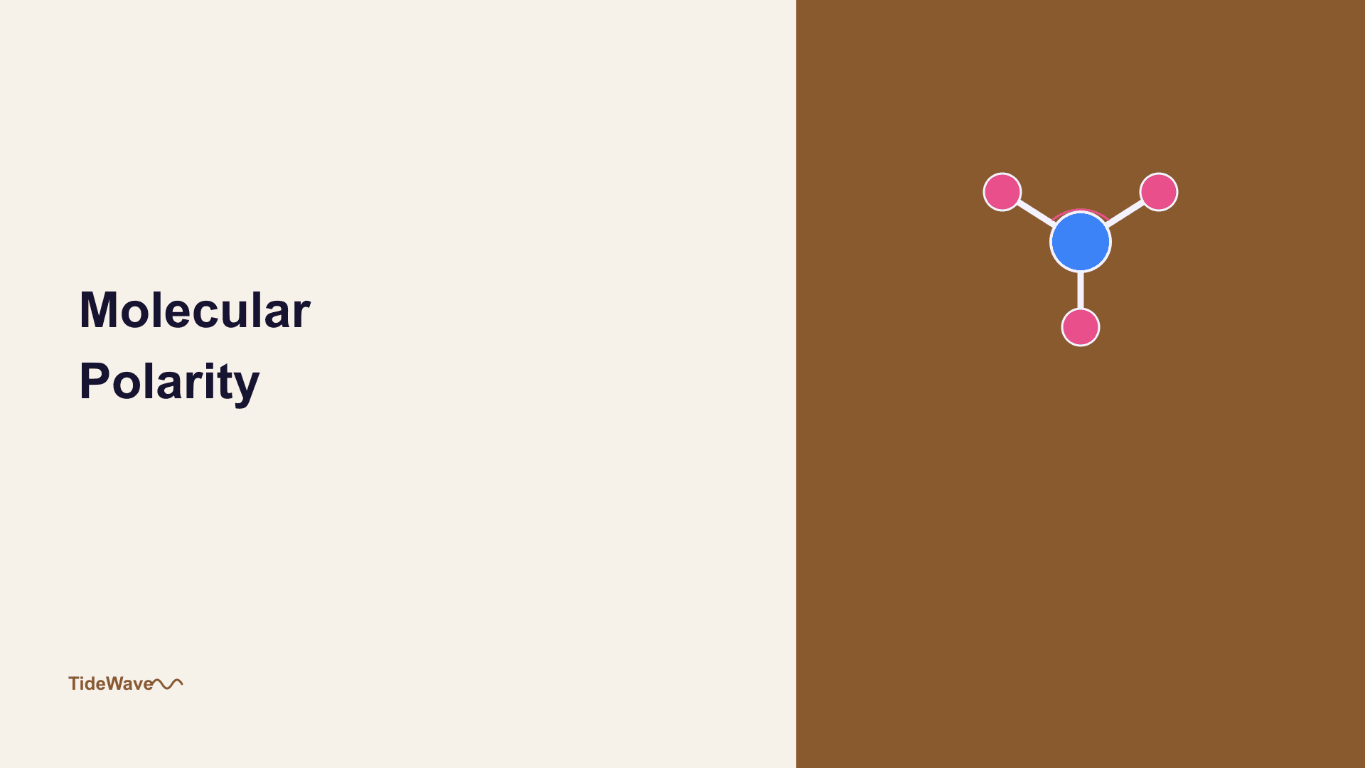 Molecular Polarity: Why Shape Determines Charge Distribution