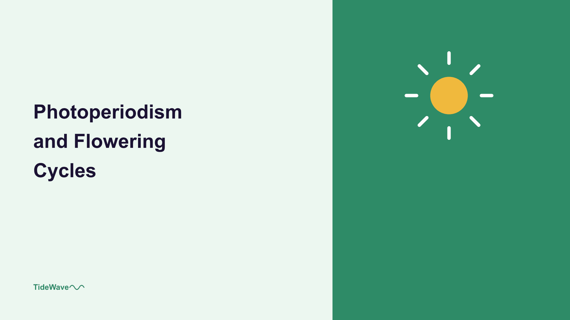 Photoperiodism and Flowering Cycles