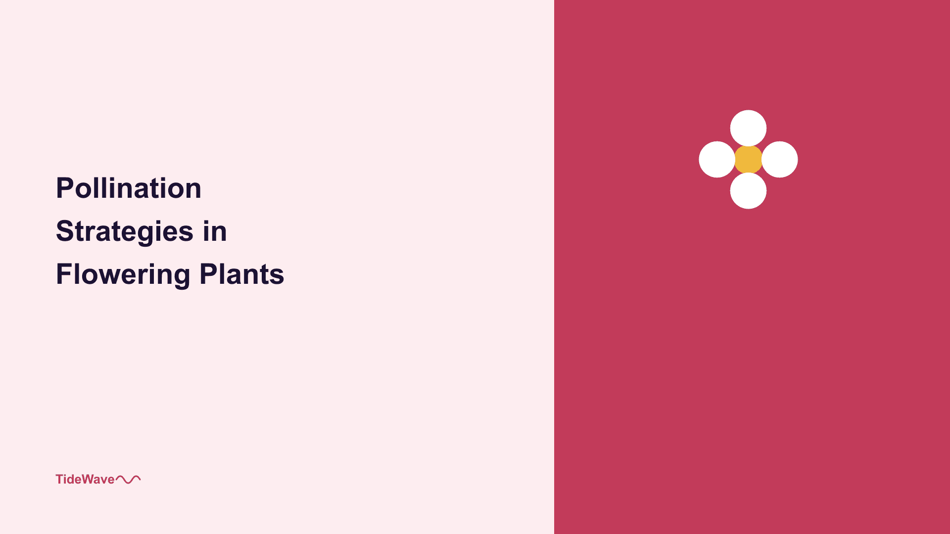 Pollination Strategies in Flowering Plants
