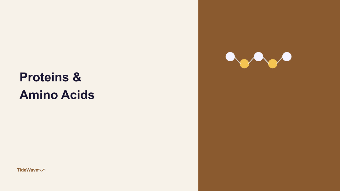 Proteins and Amino Acids: The Chemistry of Life's Building Blocks