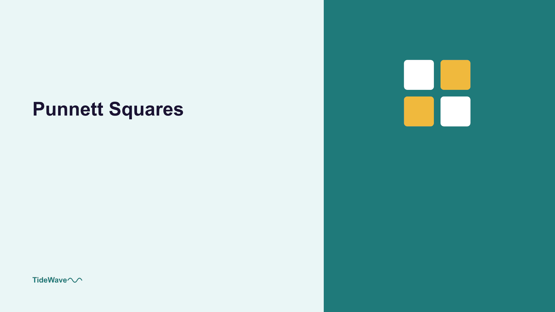 Punnett Squares: Predicting Genetic Outcomes