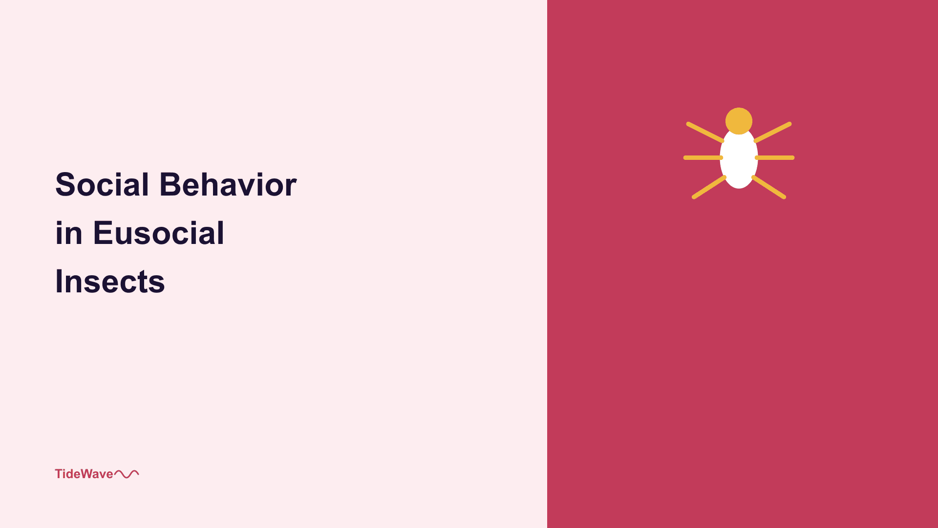 Social Behavior in Eusocial Insects