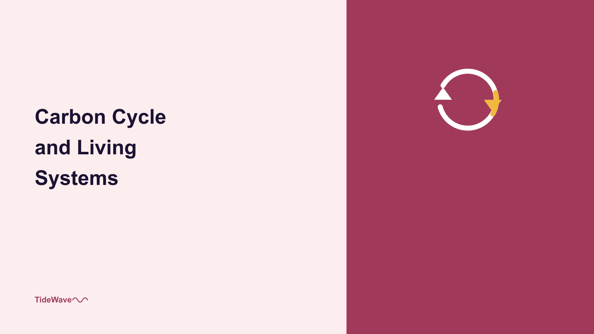 The Carbon Cycle and Living Systems