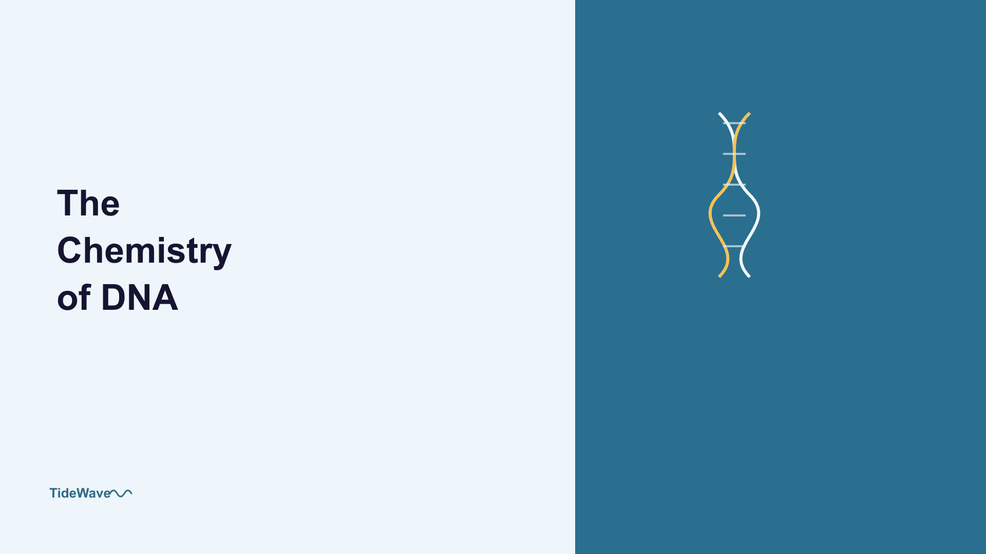 The Chemistry of DNA: How Base Pairing Works