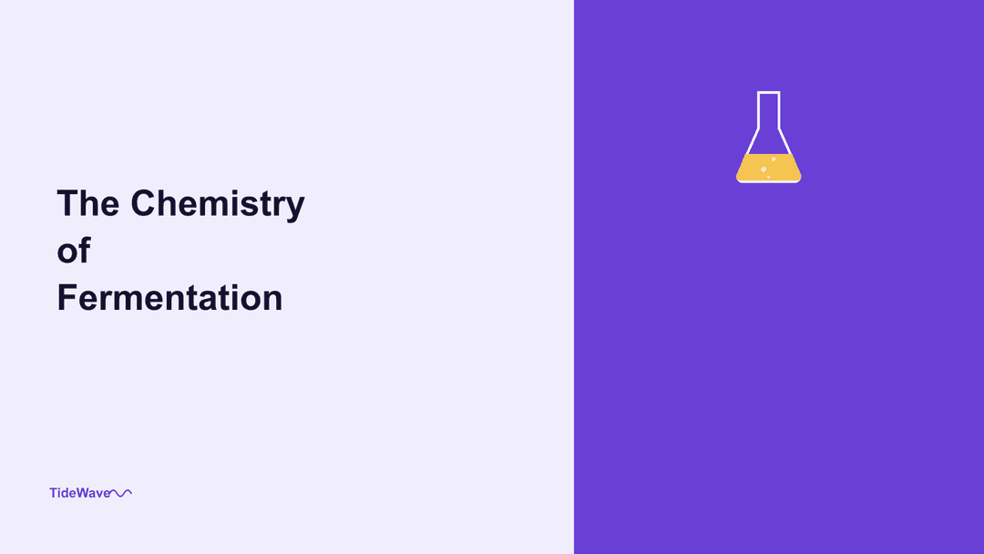 The Chemistry of Fermentation: How Yeast Turns Sugar into Alcohol