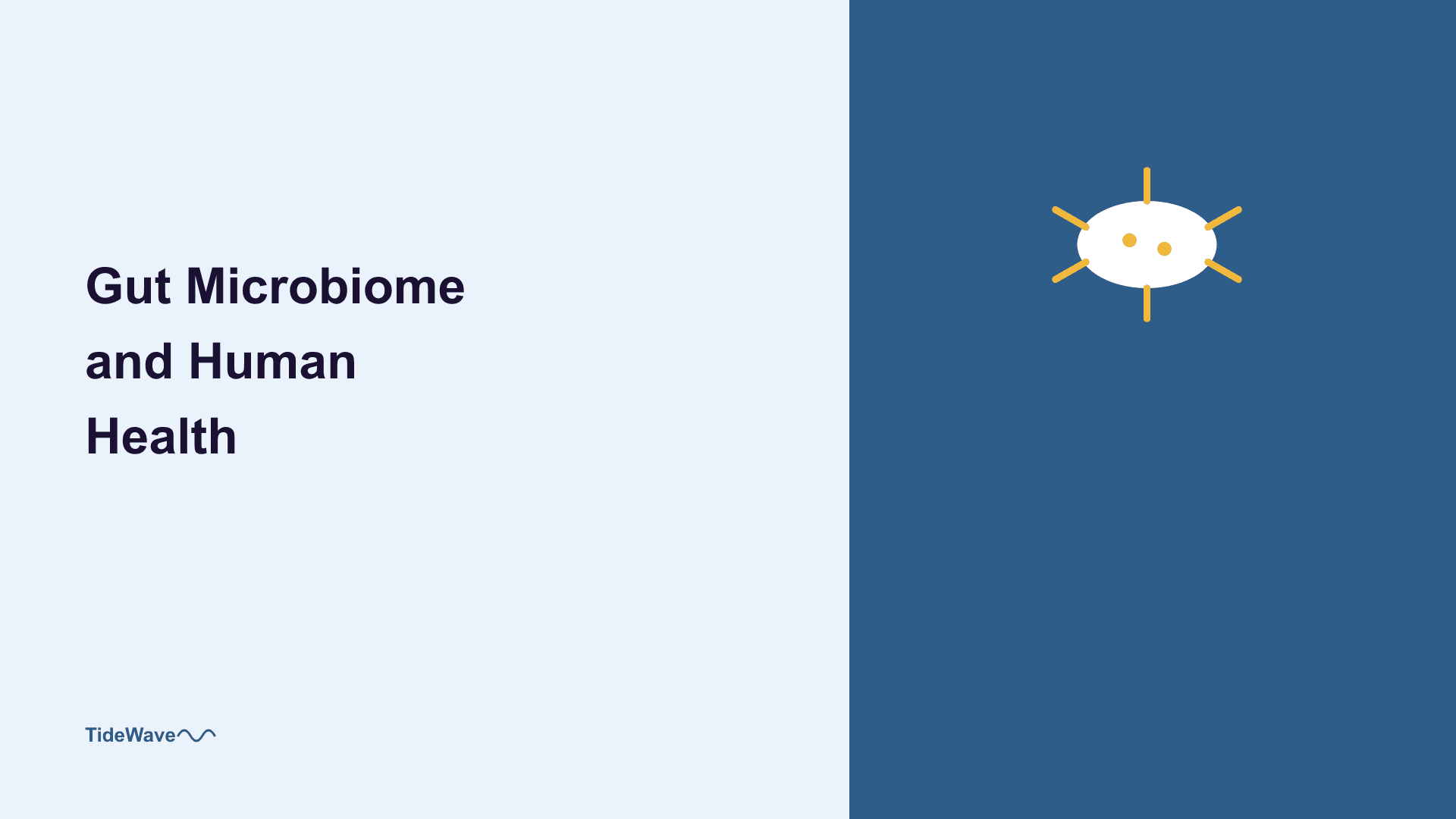 The Gut Microbiome and Human Health
